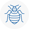 Bed Bug Extermination In Eccles